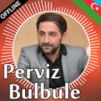 Perviz Bulbule