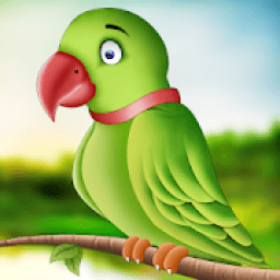 ikon Talking Parrot 2019 : Real Talk Parrot