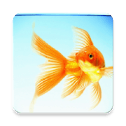 Poster World आइकन