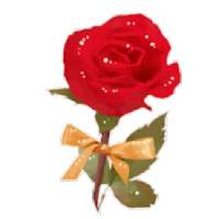 *Flowers Stickers For Whatsapp - WAStickersApps*