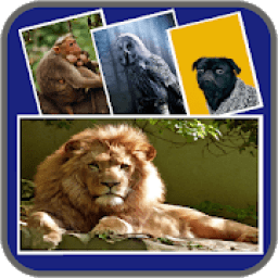 Music Video Maker App - Slideshow With Music आइकन