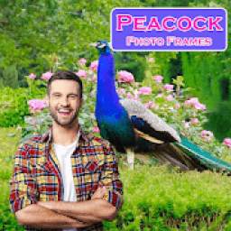 Peacock Photo Frames 2019 New