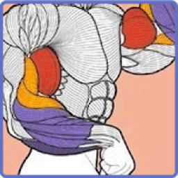 Gym Guider Offline आइकन