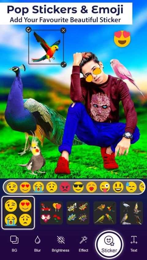 Bird Photo Editor screenshot 3