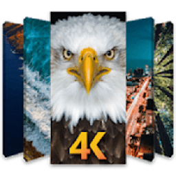 4K वॉलपेपर Wallpapers आइकन