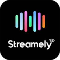Streamely - Punjabi Music App Online