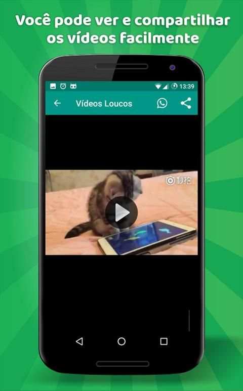 Vídeos Loucos screenshot 1