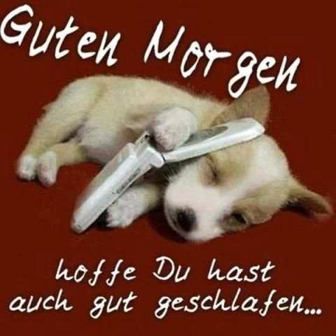 Guten Morgen Bilder Lustig screenshot 5