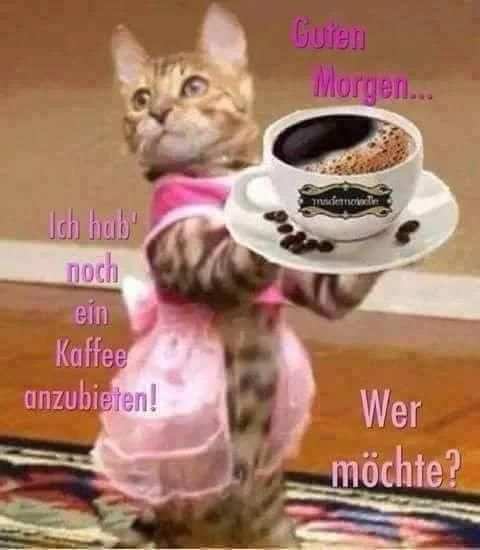 Guten Morgen Bilder Lustig screenshot 12