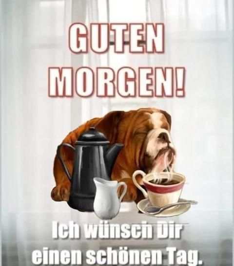 Guten Morgen Bilder Lustig screenshot 4