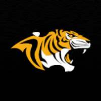 Snyder ISD Tigers