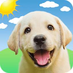 Weather Puppy: Real Time Weather Forecast & Radar