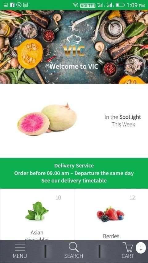 VIC स्क्रीनशॉट 1