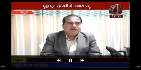 Y News स्क्रीनशॉट 1