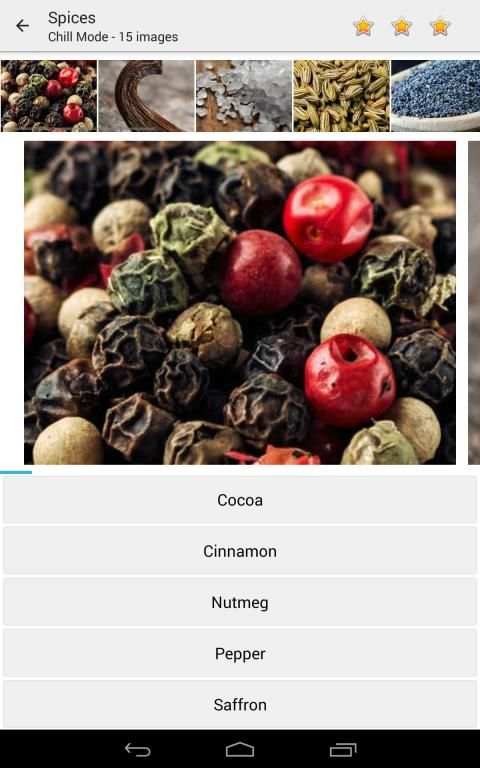 Photo Quiz - Guess Pictures screenshot 8