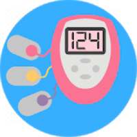 Blood Sugar Test Diary and Info