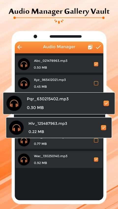 Audio Manager Gallery Vault - Lock Photos & Videos स्क्रीनशॉट 1