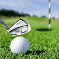 Mini Golf King 3D - Be Top Golf Champions logo