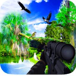 Birds Hunter Challenge Sniper Shooter 3D