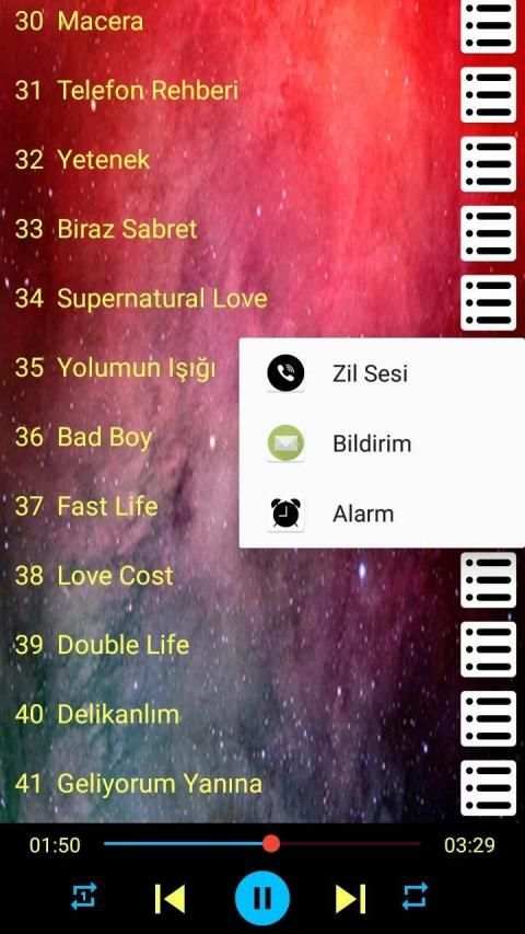 Hadise Geliyorum Yanına - Şarkıları İnternetsiz screenshot 4