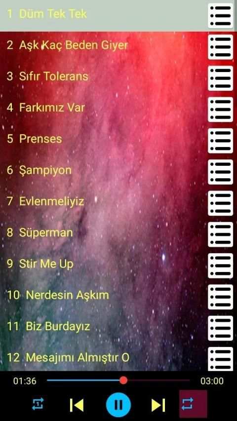 Hadise Geliyorum Yanına - Şarkıları İnternetsiz screenshot 3