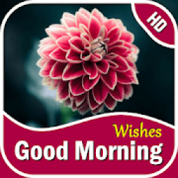 Good Morning Flowers Cards- Create Your Greeting आइकन
