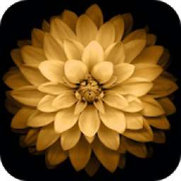 Smart Gallery आइकन