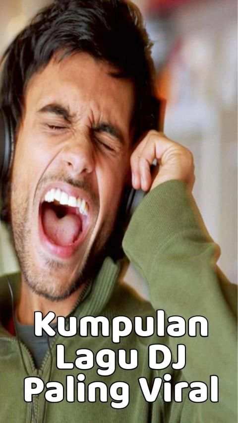 DJ Remix Offline Viral Terbaru screenshot 6