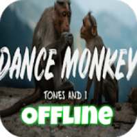 DJ Dance Monkey Music - Tones and I on 9Apps