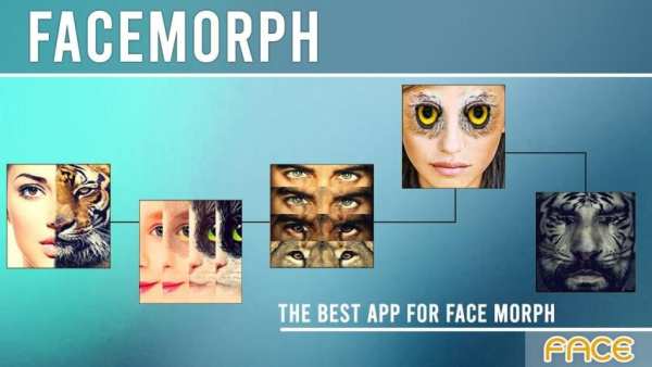 Face Morphing screenshot 5
