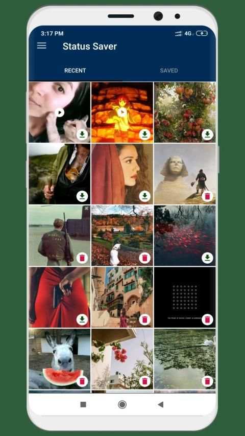 Status Saver- Save Status in Gallery स्क्रीनशॉट 8
