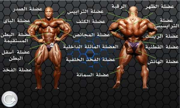تمارين كمال الأجسام
‎ screenshot 7