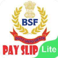bsf pay slip lite on 9Apps