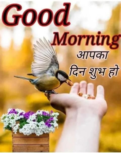 good morning ji 🌄 Images • 💕❤️🥰 A:M🥰❤️💕 (@1905487963) on ShareChat