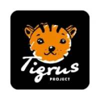 Tigrus Expert