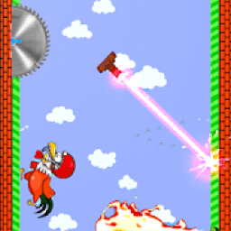 ikon Birds &amp; Traps Runners