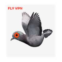 FLY VPN