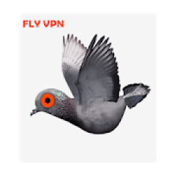 FLY VPN आइकन
