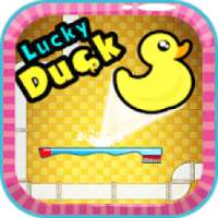 Lucky Duck New Game