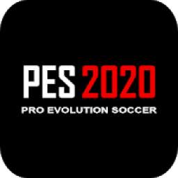 PES 20 GUIDE 5.0
