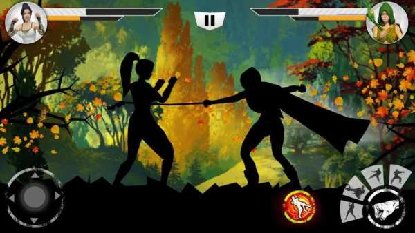 Shadow Fighting PRO 2019 screenshot 8