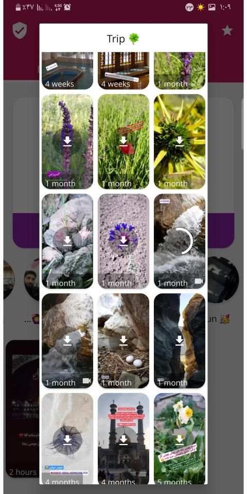دانلود استوری
‎ screenshot 4