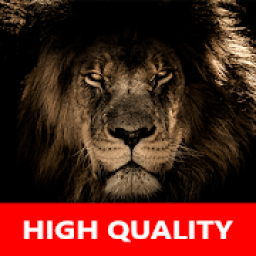 Real Lion Sounds - High Quality Lion Roar Sounds आइकन