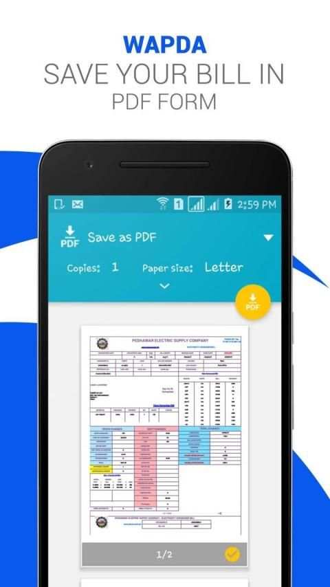online wapda bill checker screenshot 4