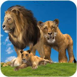 Jungle Kings Kingdom Lion Family
