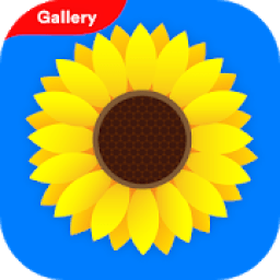 Gallery आइकन