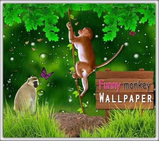 Funny Monkey Live Wallpaper स्क्रीनशॉट 1