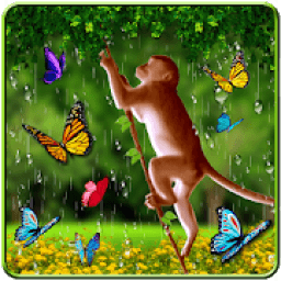 Funny Monkey Live Wallpaper आइकन