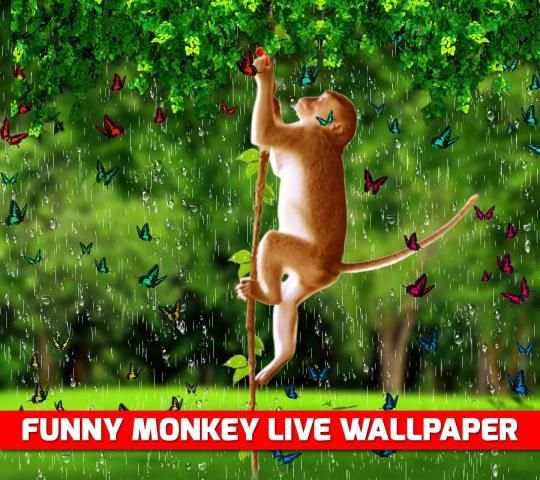 Funny Monkey Live Wallpaper स्क्रीनशॉट 2
