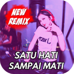 Dj Remix Satu Hati Sampai Mati icon